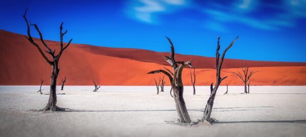 Namibia – our first Joint Venture Partnership